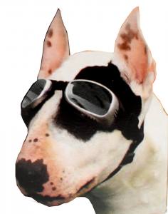 Okulary dla psa DOGOPTICS BIKER SILVER MIRROR LENS